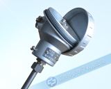 WZP230&nbsp;PT100热电阻