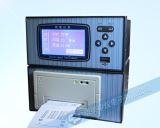 ZYW203RP带打印无纸记录仪