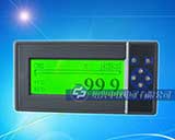 ZYW202-MR迷你型无纸记录仪