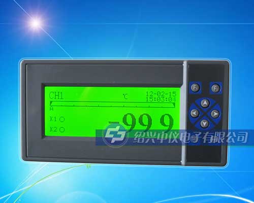 VPR202两路无纸记录仪