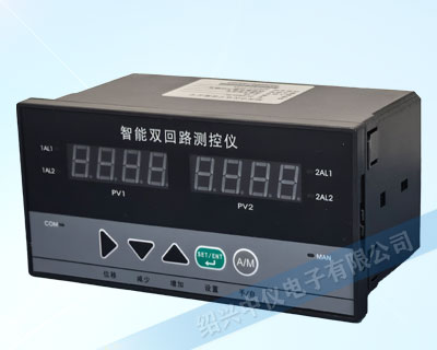 ZY-D823双路数字/光柱显示控制仪