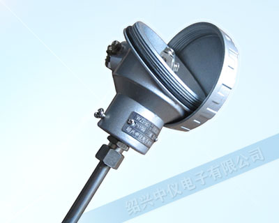 WZPK带引线热电阻