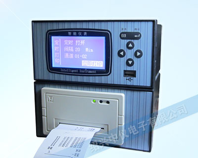 ZYW203RP带打印无纸记录仪